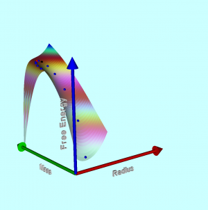 n = 5 Free-Energy Surface